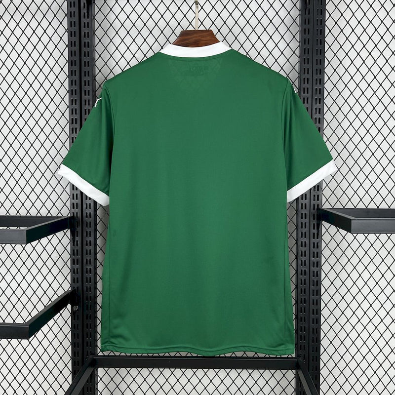 Palmeiras 25/26 / Camisa 1 / Torcedor