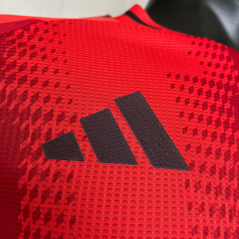 Bayern de Munchen Camisa 1 / 24-25 Manga Longa / Jogador