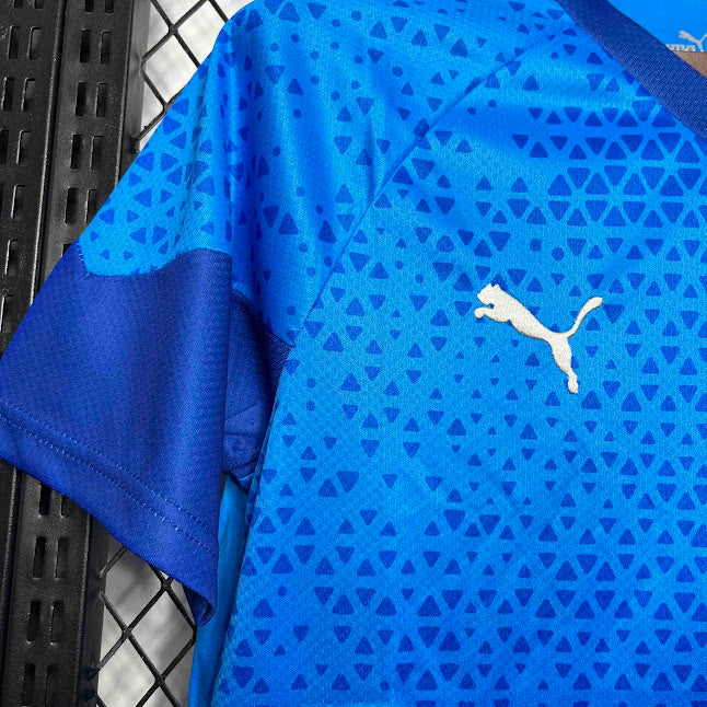 Palmeiras 24/25 / Camisa De Treino / Torcedor