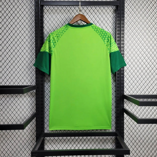 Palmeiras 24/25 / Camisa De Treino / Torcedor