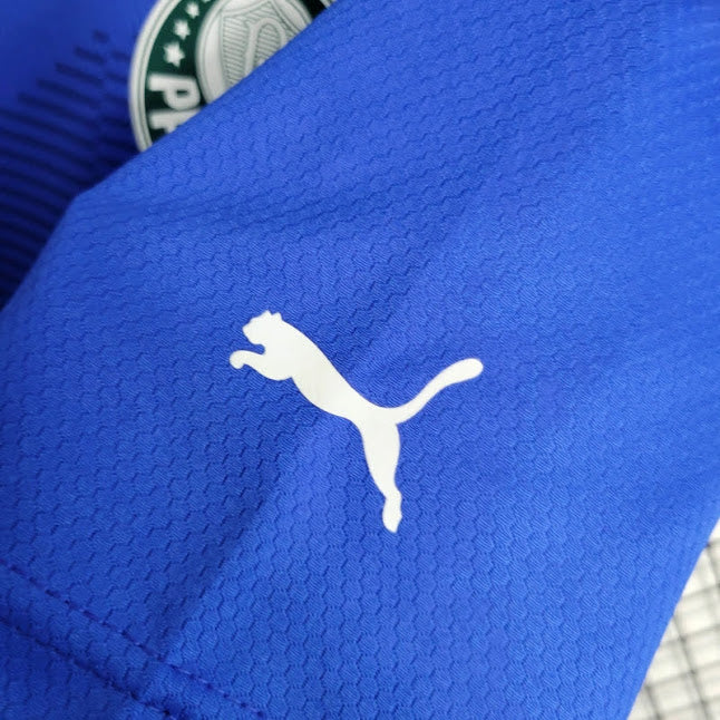 Palmeiras 23/24 / Camisa Do Goleiro / Torcedor
