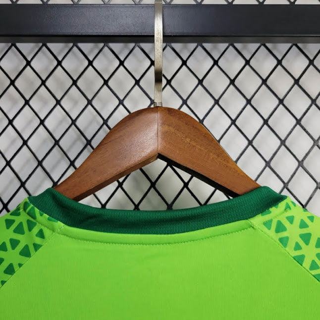 Palmeiras 24/25 / Camisa De Treino / Torcedor