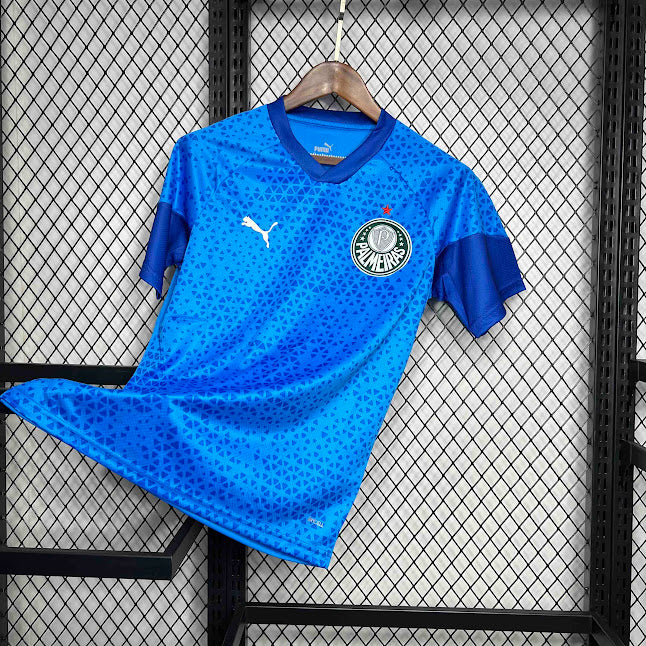 Palmeiras 24/25 / Camisa De Treino / Torcedor